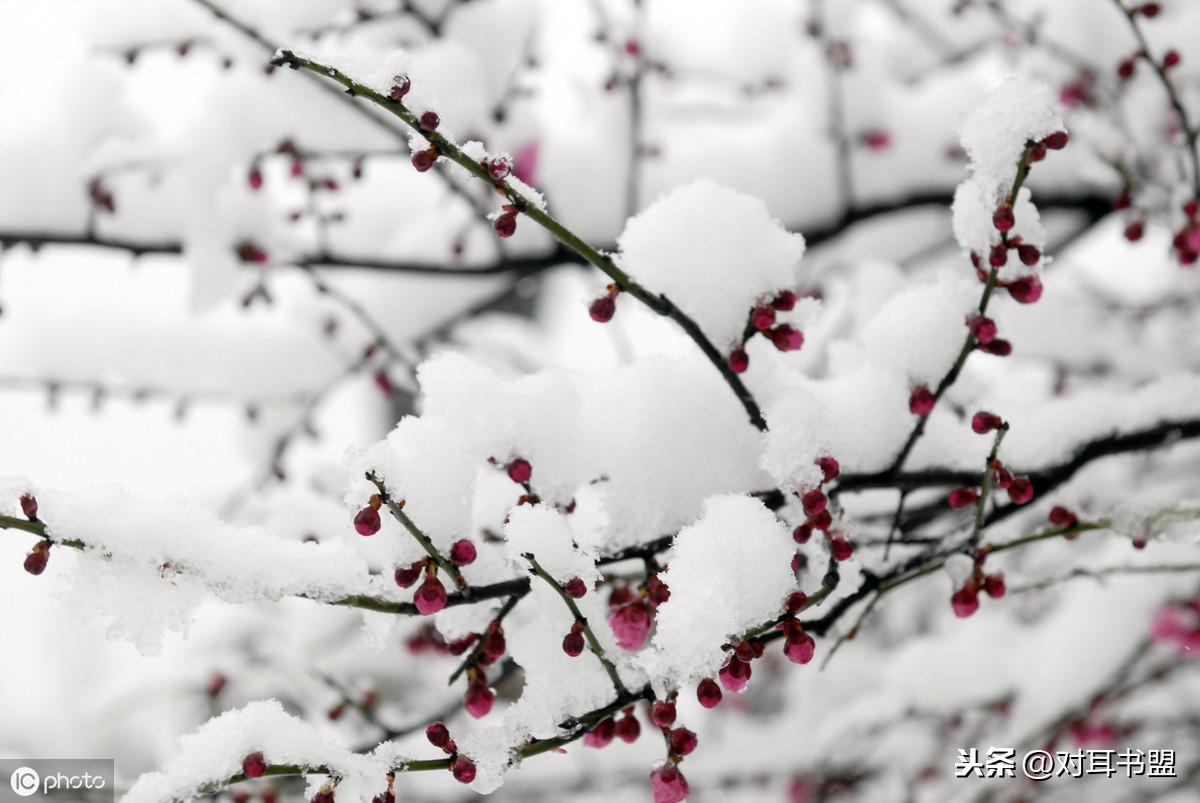 昨天做梦，梦见今年沈阳什么时候下雪，你们爱信不信