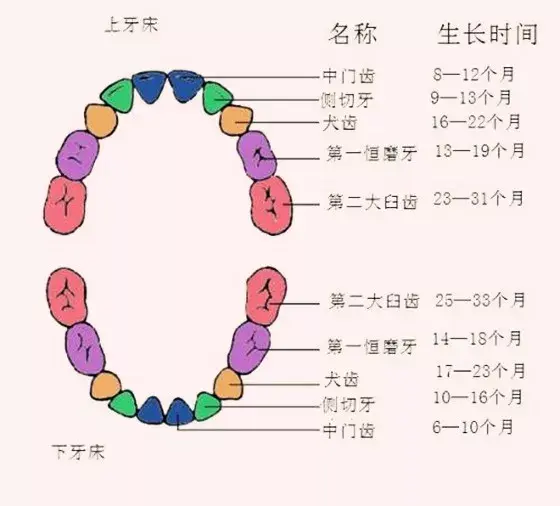 梦的解析｜关于“牙”的梦｜大师，我又梦见掉牙了！