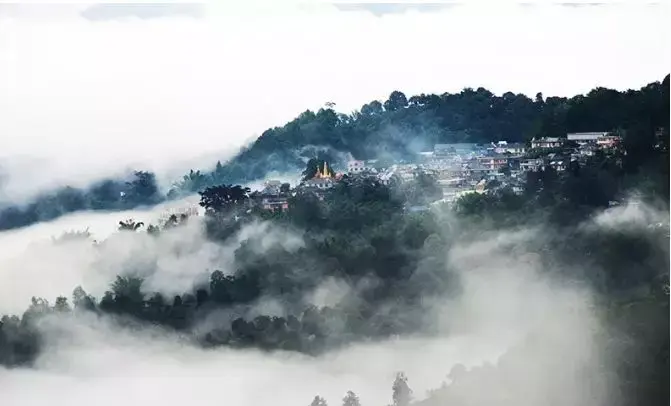 他说我梦见茶山下雨了，听懂这句话的人眼眶偷偷红了