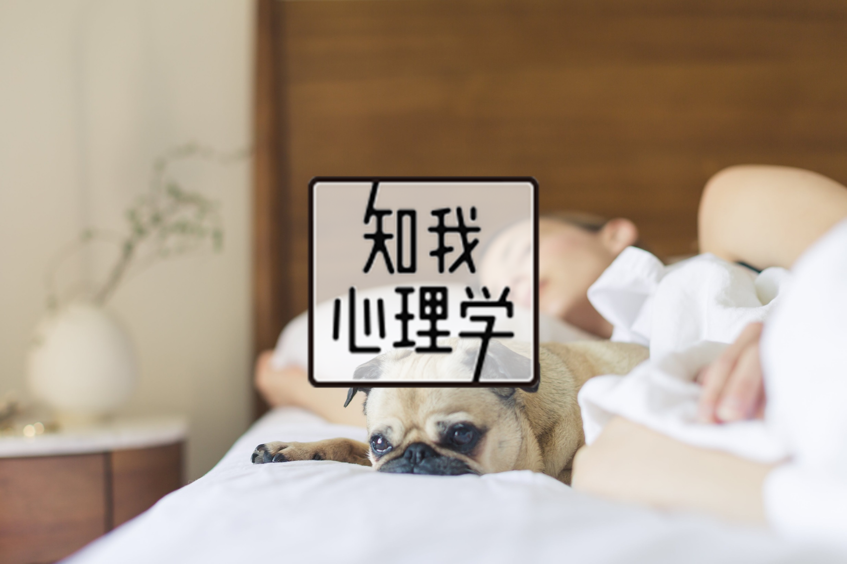 梦境真的是预言吗？｜心理学：你不知道的3大睡眠真相